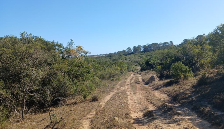 Commercial Property for Sale in Bathurst Rural Eastern Cape